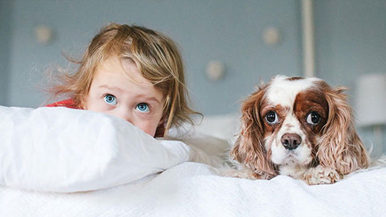 Μωρό-σκύλος-άνθρωπος: Η άτυπη ιεραρχία στη συμπόνια