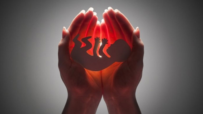 Ποιες είναι οι καλύτερες τροφές για την ενίσχυση της γονιμότητας;