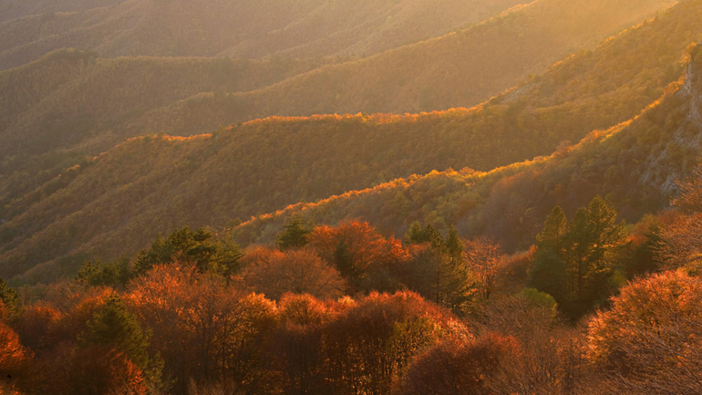 Εκπαιδευτικό σεμινάριο της Ελληνικής Εταιρίας Προστασίας της Φύσης για τα δάση και την κλιματική αλλαγή