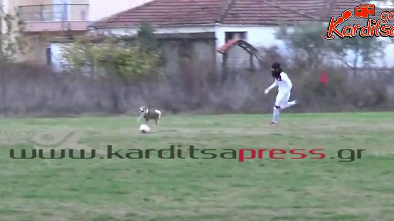 Σκύλος διέκοψε παιχνίδι ποδοσφαίρου στην Καρδίτσα