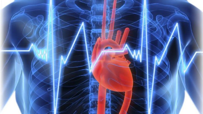 Κολπική Μαρμαρυγή: Η πλέον συχνή αρρυθμία στον ενήλικα