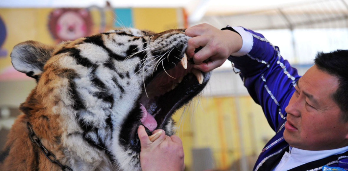 Δουλειά κι αυτή…