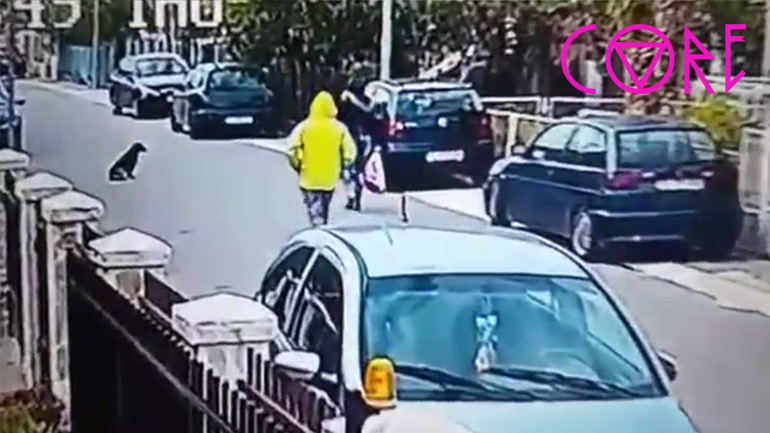 Αδέσποτος σκύλος σώζει μια γυναίκα από κλέφτη