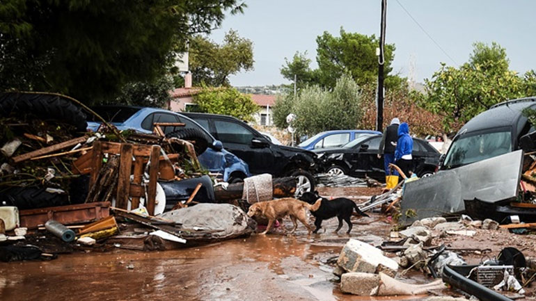 Ο ΙΣΑ συγχαίρει τους γιατρούς του Γ.Ν. Ελευσίνας για τη βοήθεια που παρείχαν στους πληγέντες της Δυτικής Αττικής