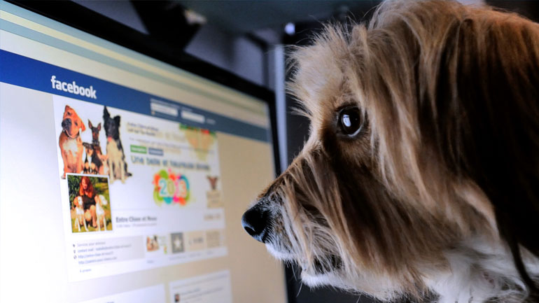 Facebook: Με selfie θα γίνεται η ταυτοποίηση χρήστη