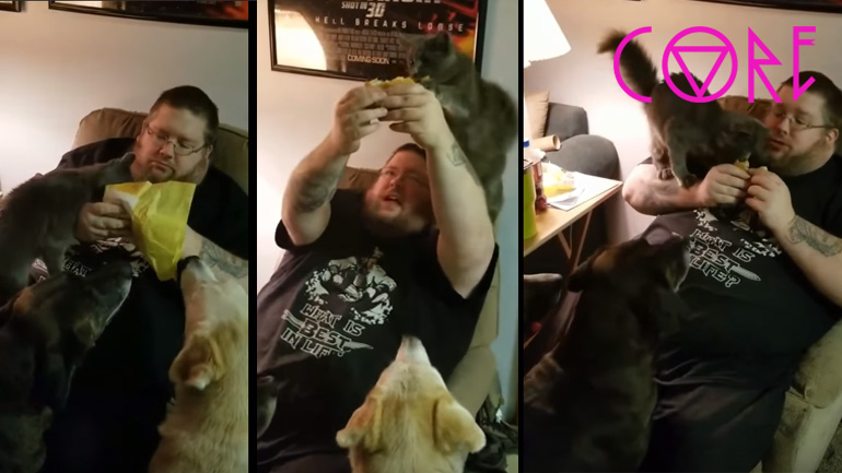 Η γάτα θέλει να φάει μπέργκερ