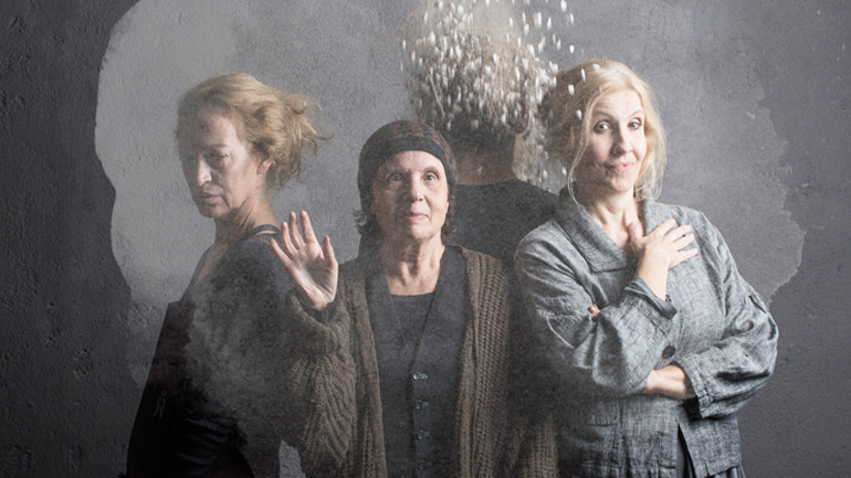 «Η Καρφίτσα ή Απλά Μαθήματα Επιβίωσης»  της Ελένης Ζιώγα  στο Bios