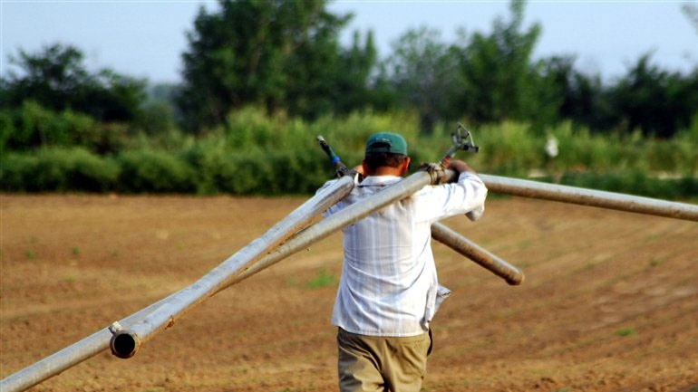 Στα υψηλά διατροφικά πρότυπα το μέλλον της ελληνικής γεωργίας