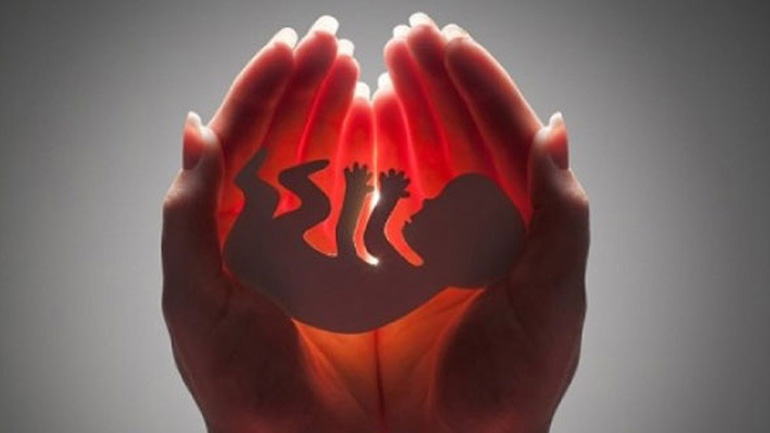 Ποιες είναι οι καλύτερες τροφές για την ενίσχυση της γονιμότητας;