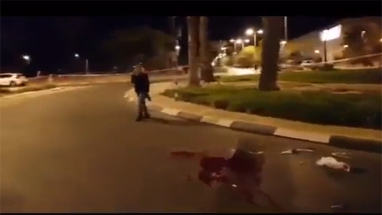 Τρομοκρατική επίθεση με θύμα 20χρονο Ισραηλινό Τρομοκρατική επίθεση με θύμα 20χρονο Ισραηλινό