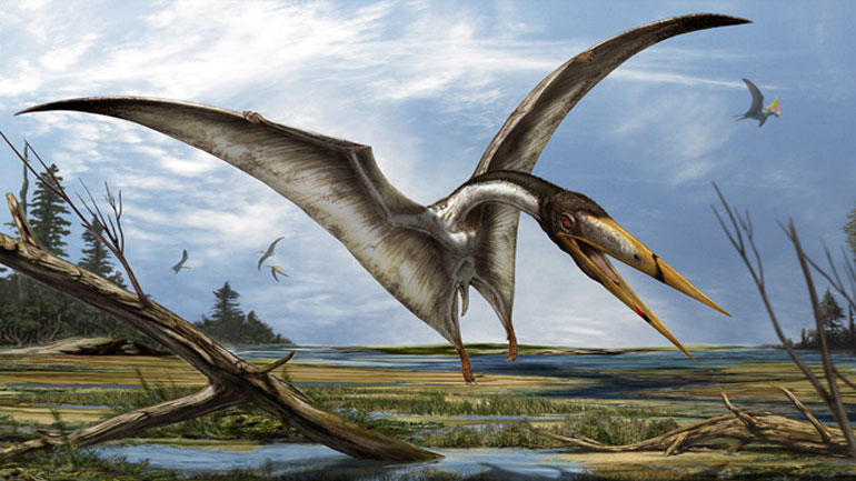 Κίνα: Ανακαλύφθηκαν 215 απολιθωμένα αβγά πτερόσαυρων, τα περισσότερα που έχουν ποτέ βρεθεί