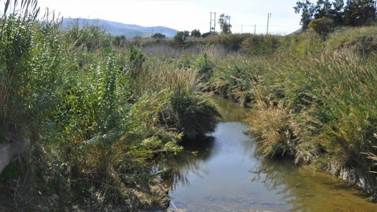 Κρήτη: Γεμάτο καλάμια και σκουπίδια το ποτάμι στο Γιόφυρο