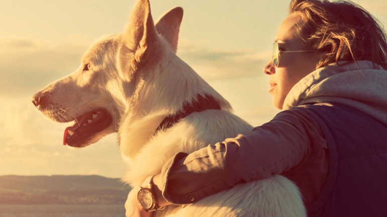 Ο σκύλος «σώζει» και από καρδιακά!