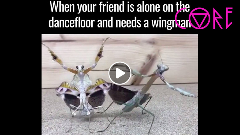 Το πιο αστείο βίντεο που θα δείτε σήμερα!