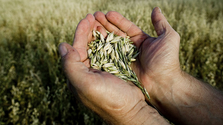 Να αλλάξει το φιλελεύθερο µοντέλο της γεωργίας της ΕΕ