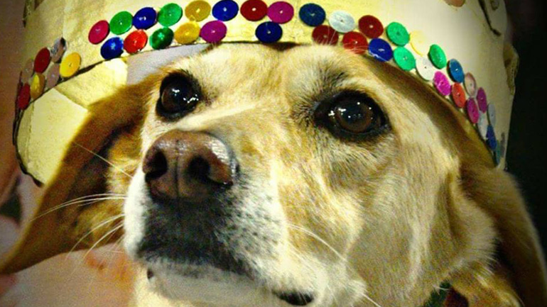 «Το Δώρο» – Παρουσίαση της πρώτης αυτοβιογραφίας σκύλου στο «Monk Grapes and Spirits»