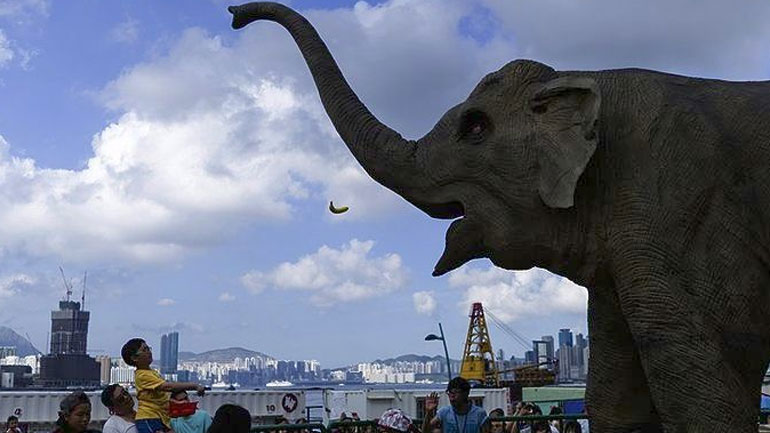 Κίνα: Πεινασμένος ελέφαντας εισβάλλει σε χωριό για να βρει τροφή