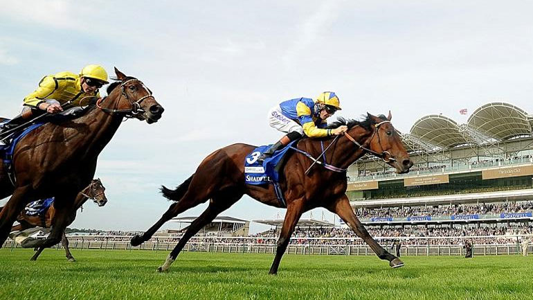 Υψηλές αποδόσεις αναμένονται για τους νικητές των ξένων ιπποδρομιών