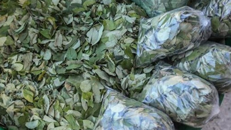 Η χοντρή κονόμα από τα ναρκωτικά