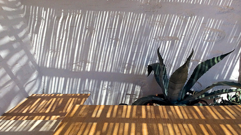 «Εφτά λευκά πουκάμισα» του Θοδωρή Γκόνη