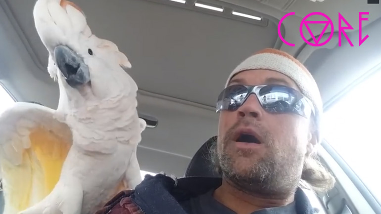 Ο πολυλογάς παπαγάλος