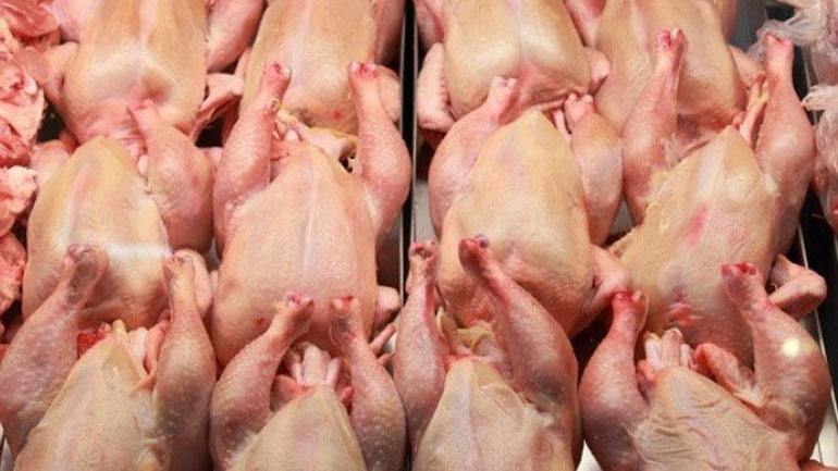 Δέσμευση κοτόπουλων σε επιχείρηση στον Πειραιά