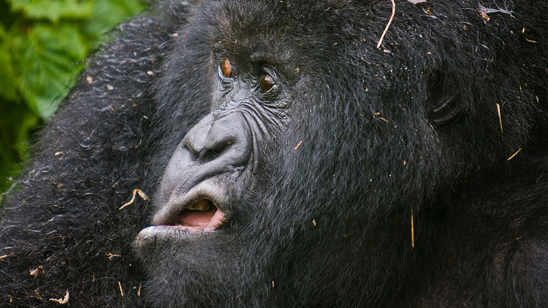 Όταν η φύση… ξεκαρδίζεται!