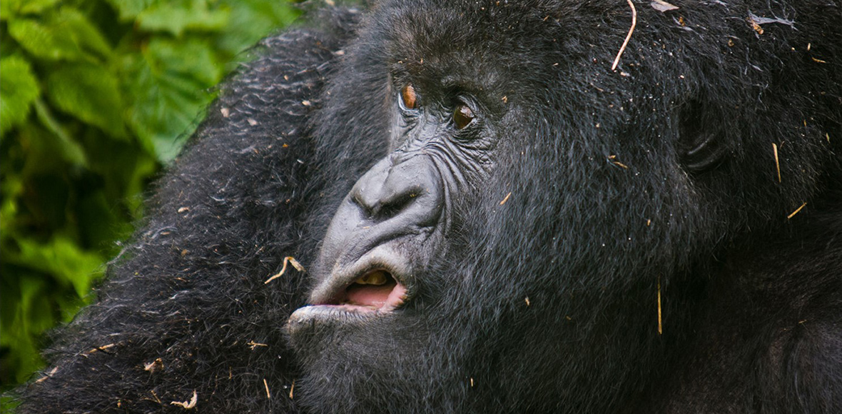 Όταν η φύση ξεκαρδίζεται…