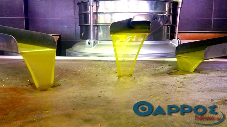 Την κατιούσα παίρνει η τιμή στο ελαιόλαδο