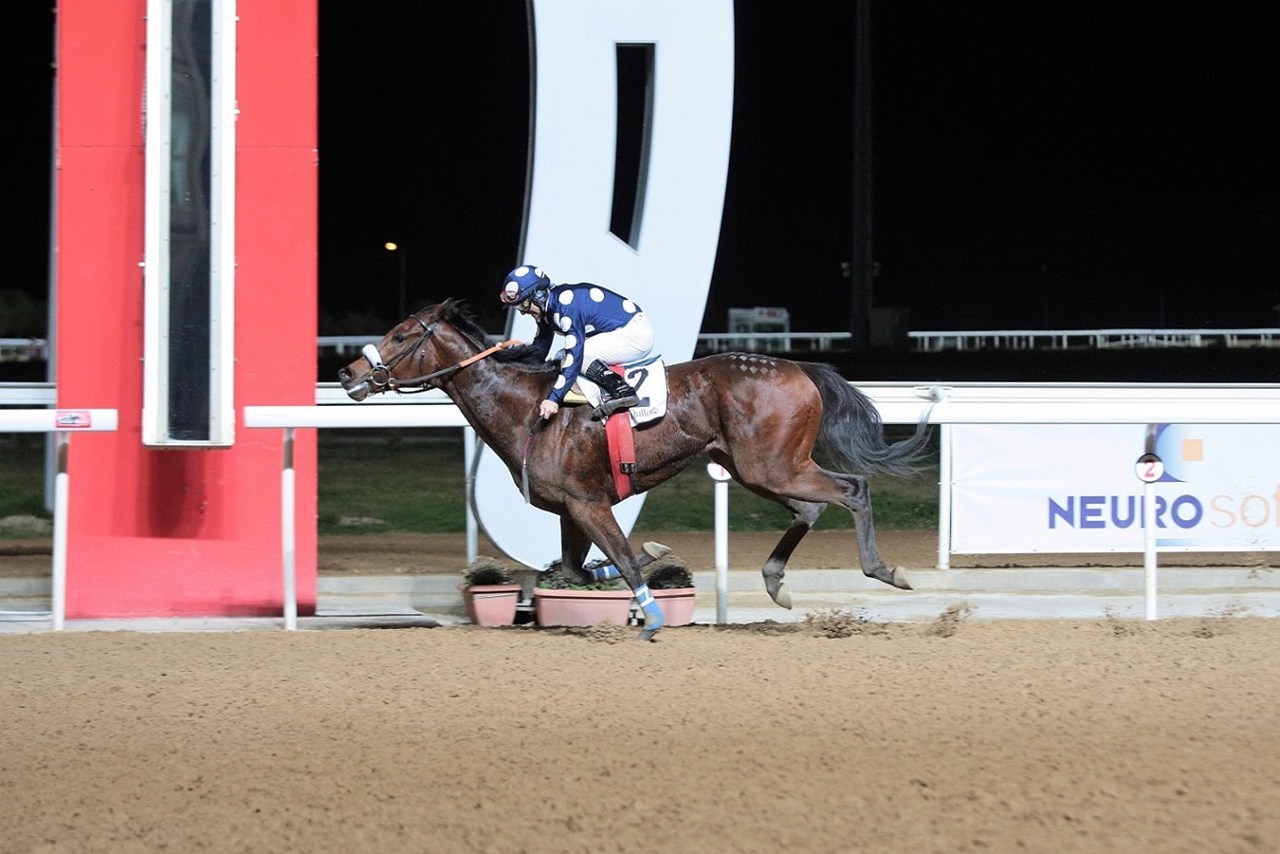 Στιγμιότυπο από τις κούρσες του Winter Challenge Series 2017, B