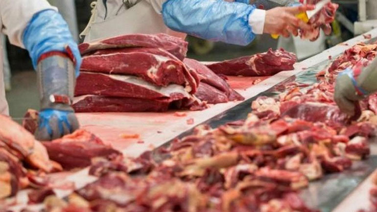 Κατάσχεση 2,3 τόνων συκωταριών σε ψυκτική αποθήκη του Πειραιά