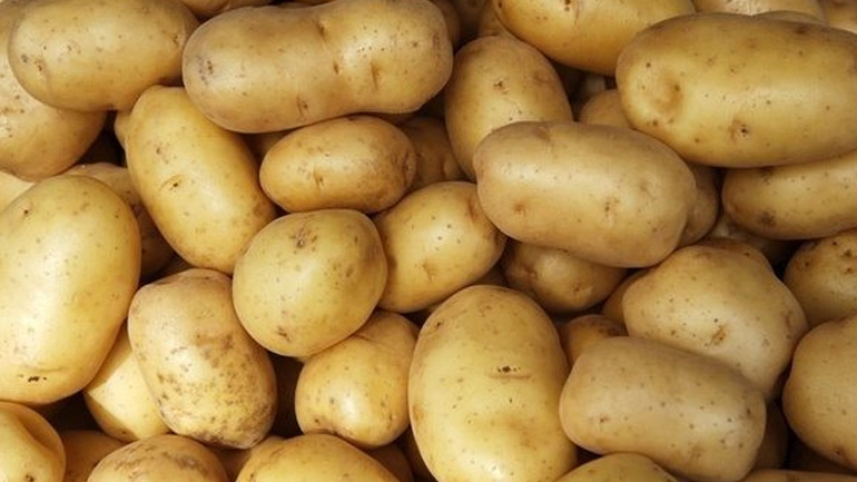 Δέσμευση 4,3 τόνων πατάτας στην περιοχή του Ρέντη