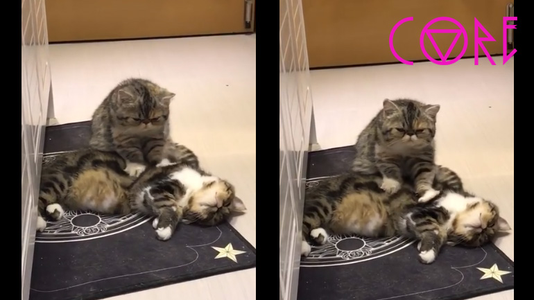 Επαγγελματίας μασέρ