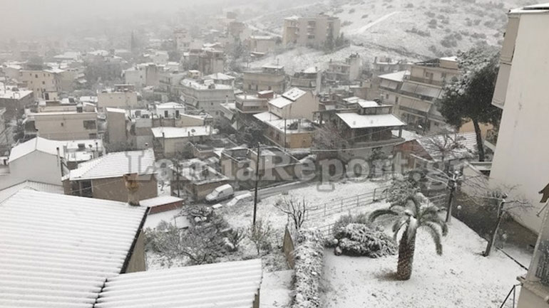 Στα «λευκά» η Λαμία Στα «λευκά» η Λαμία