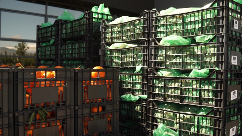 Τρόφιμα και είδη πρώτης ανάγκης διένειμε ο Δήμος Αθηναίων Τρόφιμα και είδη πρώτης ανάγκης διένειμε ο Δήμος Αθηναίων