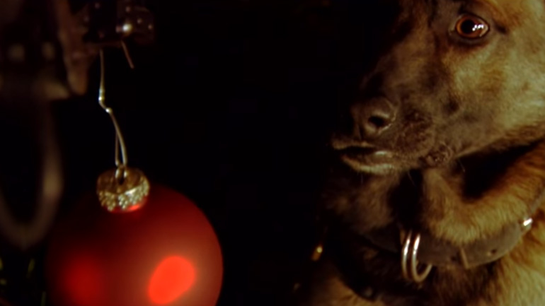 Τα λαγωνικά της αστυνομίας… πρωταγωνιστές σε εορταστικό βίντεο!