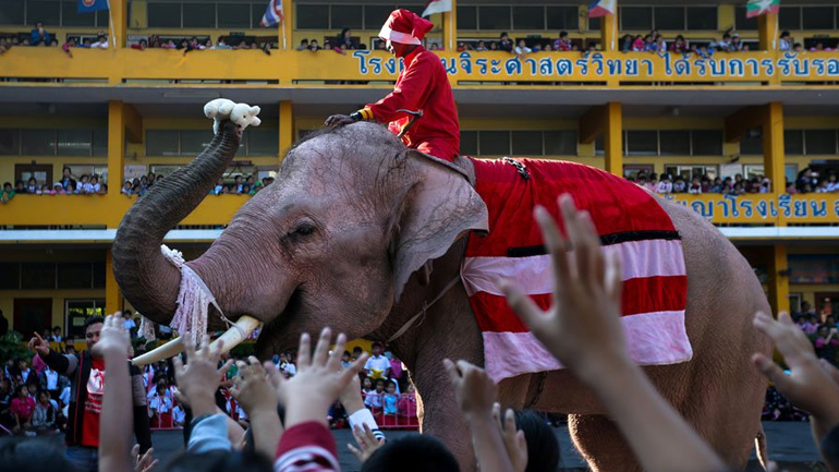 O Άγιος Βασίλης πήγε με… ελέφαντες στην Ταϊλάνδη!