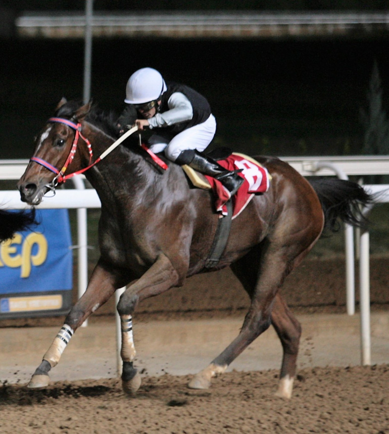 Ο ίππος  ΜΠΑΖΟΥΛΑ