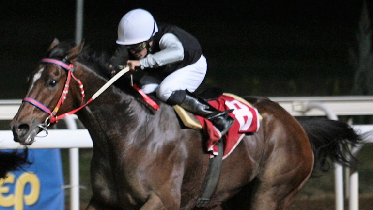 Θεαματικές και ανταγωνιστικές κούρσες στον Ιππόδρομο Αθηνών λίγο πριν τα Χριστούγεννα