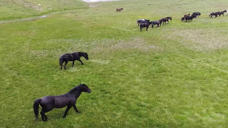 Μαθητές από τη Βούλα ταξίδεψαν στο Ζαγόρι κι αποτύπωσαν εκπληκτικές εικόνες από την ελληνική φύση