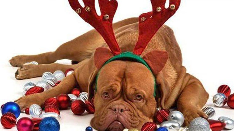 Πώς μπορώ να αποτρέψω την κατάθλιψη των Χριστουγέννων;