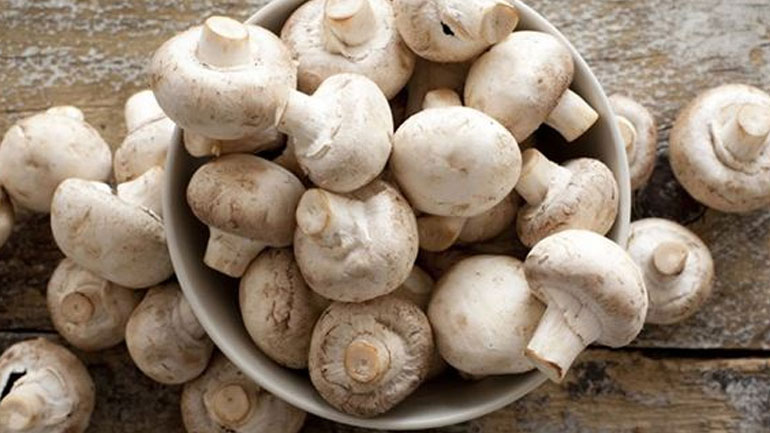 Γιατί πρέπει να αρχίσεις να τρως περισσότερα μανιτάρια