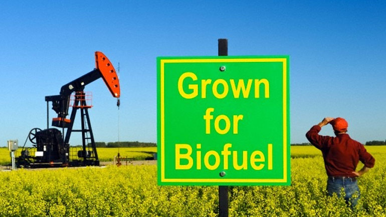 Σε χαμηλά επίπεδα τα βιοκαύσιμα στην ελληνική αγορά Σε χαμηλά επίπεδα τα βιοκαύσιμα στην ελληνική αγορά