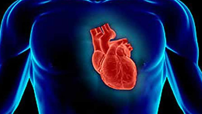 Γιατί οι καρδιές των πενηντάρηδων είναι κατά μια δεκαετία μεγαλύτερες