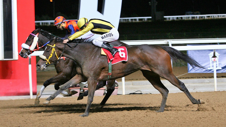 Έξι κούρσες με δυνατές «μάχες» στην τελευταία ιπποδρομιακή συγκέντρωση της χρονιάς