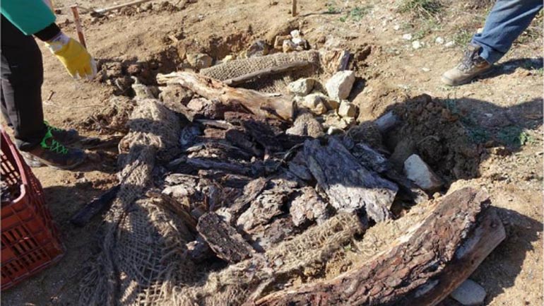 Καταφύγια για τη διαχείμαση ερπετών στον Έβρο