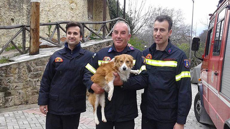 Πυροσβέστες έσωσαν σκυλί από ποτάμι