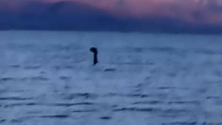 To… τέρας του Λοχ Νες στις Πρέσπες