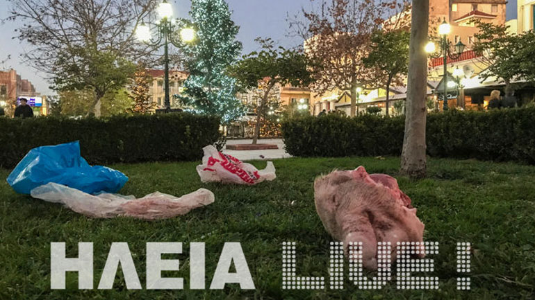 Πέταξαν γουρουνοκεφαλή έξω από το Δημαρχείο Πύργου