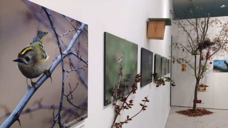 «Νεφελοκοκκυγία, η Πολιτεία  των Πουλιών» στο Μουσείο Πτολεμαΐδας